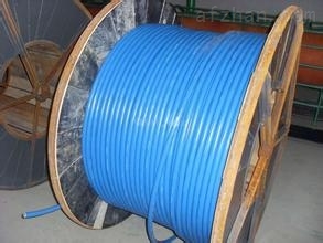 耐高温计算机电缆规格解析及其在通信与控制系统中的关键应用